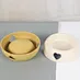 plastic cat bowl